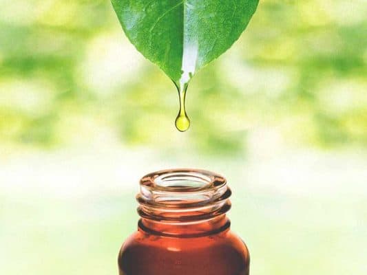 shingles ointment
